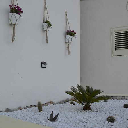 Casa Vacanza Salentina Gagliano del Capo Exterior photo